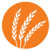 fox-creek-logo-reversed-wheat